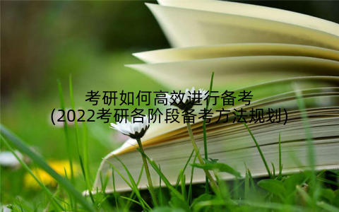 考研如何高效进行备考(2022考研各阶段备考方法规划)
