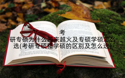 考研专硕为什么越来越火及专硕学硕怎么选(考研专硕和学硕的区别及怎么选)