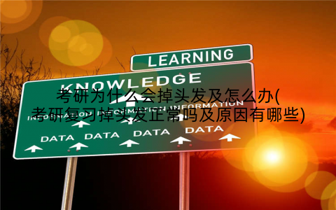 考研为什么会掉头发及怎么办(考研复习掉头发正常吗及原因有哪些)