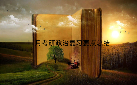 11月考研政治复习要点总结