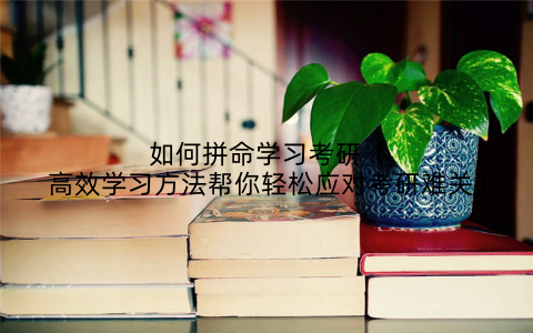 如何拼命学习考研（高效学习方法帮你轻松应对考研难关）