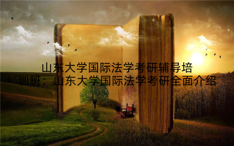 山东大学国际法学考研辅导培训班：山东大学国际法学考研全面介绍