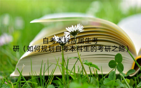 自考本科应届生考研（如何规划自考本科生的考研之路）
