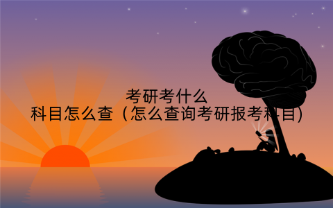 考研考什么科目怎么查（怎么查询考研报考科目)