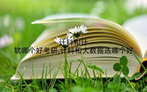 计科和计软哪个好考研,计科和大数据选哪个好