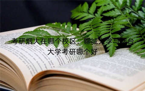 考研烟大在哪个校区：聊城大学与烟台大学考研哪个好
