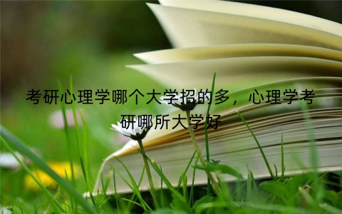 考研心理学哪个大学招的多，心理学考研哪所大学好