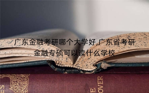 广东金融考研哪个大学好,广东省考研金融专硕可以读什么学校