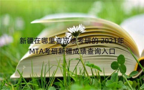 新疆在哪里查成绩考研的 2021年MTA考研新疆成绩查询入口