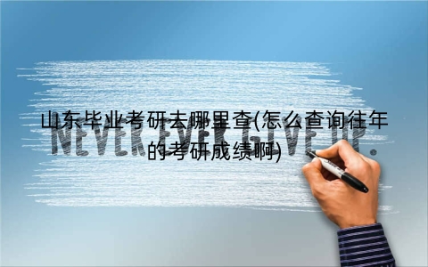 山东毕业考研去哪里查(怎么查询往年的考研成绩啊)