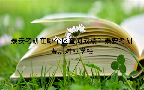 泰安考研在哪个区查询成绩？泰安考研考点对应学校