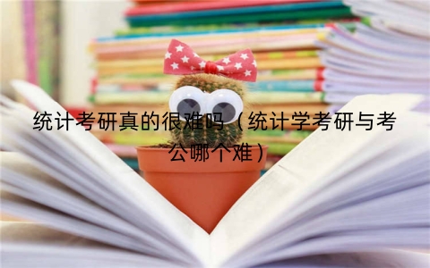 统计考研真的很难吗（统计学考研与考公哪个难）