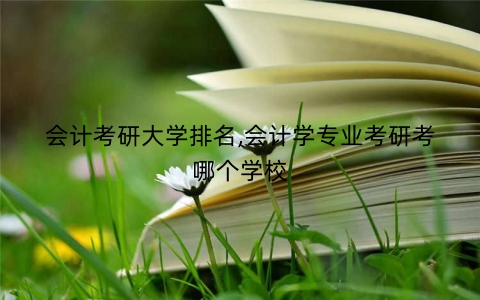 会计考研大学排名,会计学专业考研考哪个学校