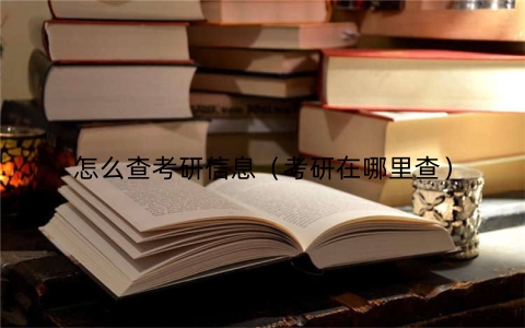 怎么查考研信息（考研在哪里查）
