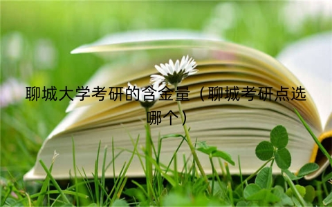 聊城大学考研的含金量（聊城考研点选哪个）
