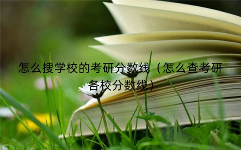 怎么搜学校的考研分数线（怎么查考研各校分数线）