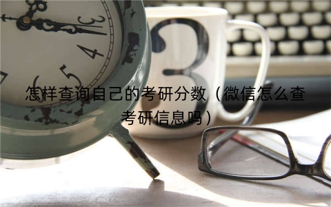 怎样查询自己的考研分数（微信怎么查考研信息吗）
