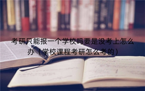 考研只能报一个学校吗要是没考上怎么办（学校课程考研怎么考的）