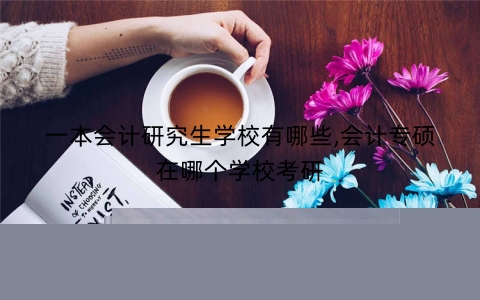 一本会计研究生学校有哪些,会计专硕在哪个学校考研
